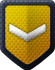 Level 16